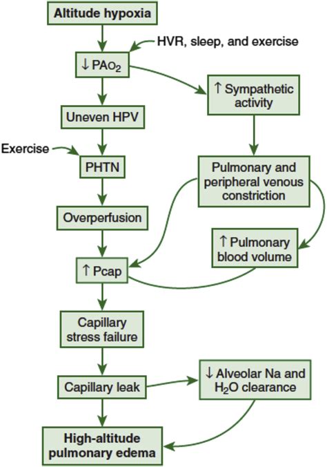 Advances in the Prevention and Treatment of High Altitude Illness - Emergency Medicine Clinics