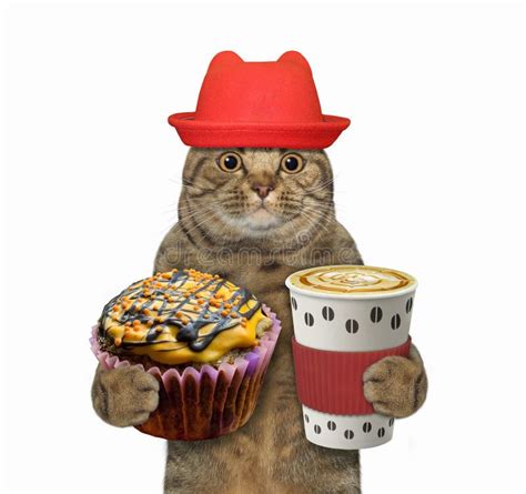 Cat Holds a Cup with Coffee Stock Image - Image of creative, drink: 121311429