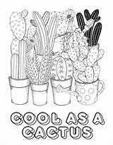 Cactus Coloring Pages Desert Rainforest Printable Plants Kids Flowers  sketch template