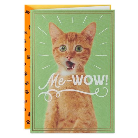 Amazed Kitten Me-Wow Congratulations Card - Greeting Cards - Hallmark