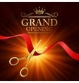 Grand opening with red ribbon Royalty Free Vector Image