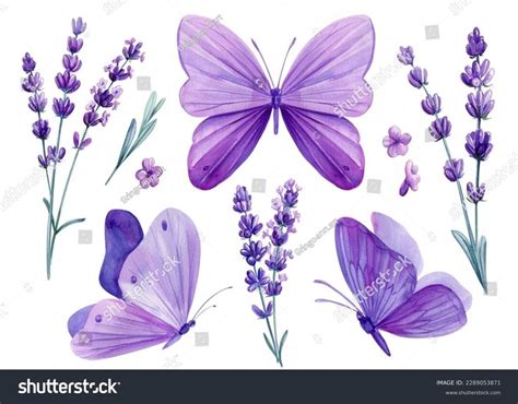 Watercolor Butterflies and Lavender Flowers