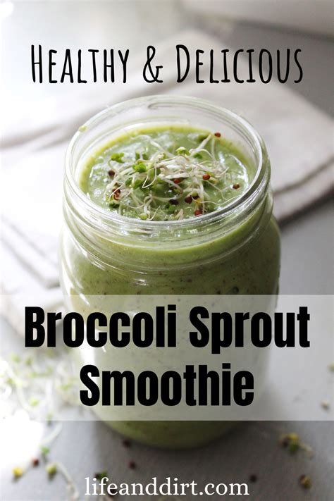 Healthy & Delicious Broccoli Sprout Smoothie | Recipe in 2021 | Broccoli sprouts, Sprout recipes ...