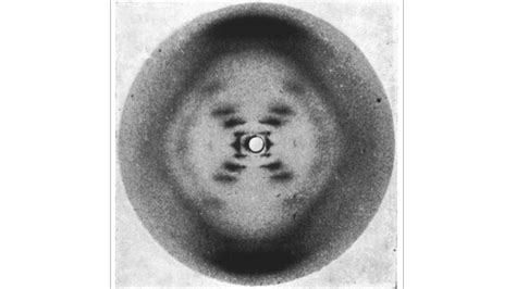 This Was the First Image of DNA Seen By Humans