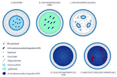 Lipid based nanoparticles showing A) LIPOSOMES, B) LIPID NANOEMULSIONS ...