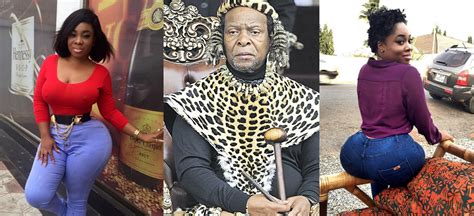 Zulu King Goodwill Zwelithini Wives - Goodwill zwelithini (pictured ...