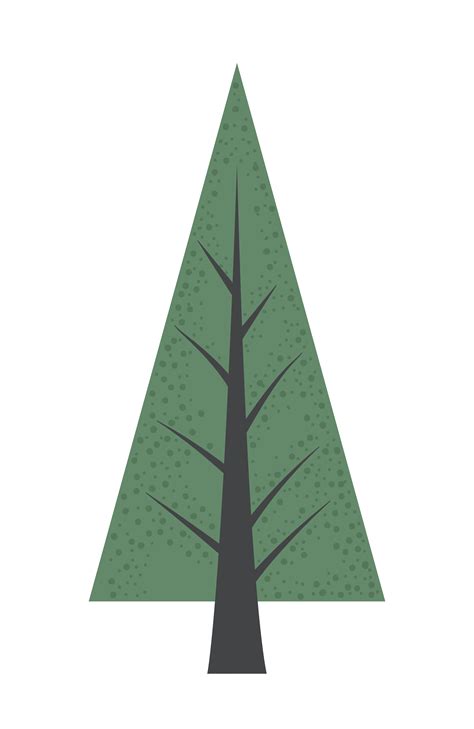 pine tree forest 4713388 Vector Art at Vecteezy