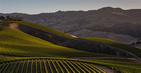 santa-ynez-valley-landing-hero - Official Tourism Site of The Santa ...