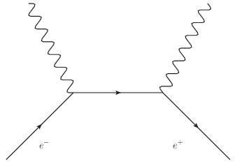 Wiring Diagram Database: Electron Positron Annihilation Feynman Diagram