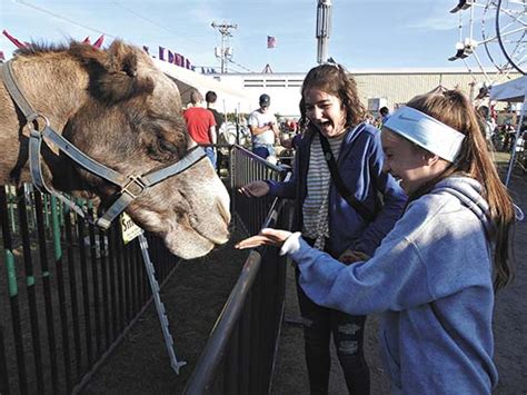 Houghton County Fair returns | News, Sports, Jobs - The Mining Gazette