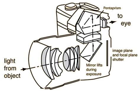 What is the full form of SLR?