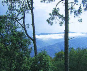 Tourism of Uttaranchal | Uttaranchal: Ranikhet | Ranikhet Hill Station | Ranikhet Tourism