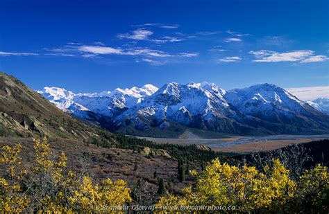 Photo Gallery image: Kluane National Park - fall colours in Slims River Valley with snow covered ...