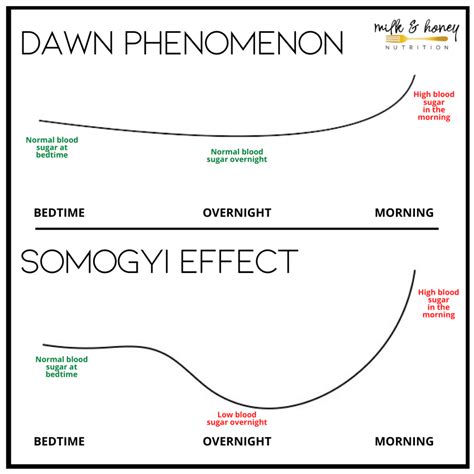 Somogyi Effect vs. Dawn Phenomenon and Blood Sugar Levels | Milk ...