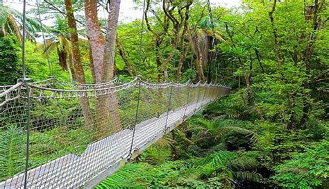 Take on the Longest Canopy Walk in Africa at the Lekki Conservation Centre