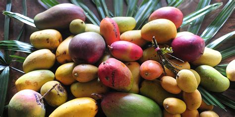 What's the Difference Between Mango Varieties? | MyRecipes