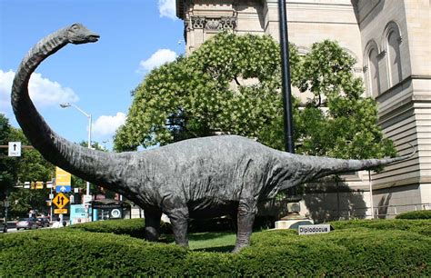 Louisville Fossils and Beyond: Carnegie Museum of Natural History