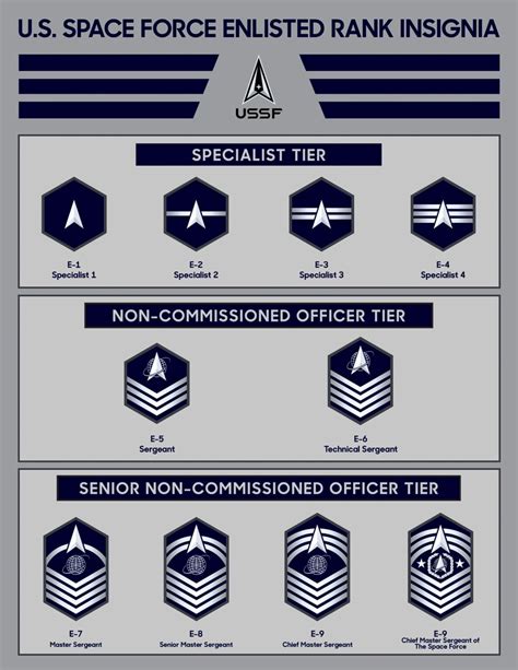Official Space Force Enlisted Rank Insignia | Advice For Veterans