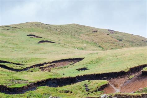 Rolling Hills of Batanes, Philippines Stock Image - Image of lush ...