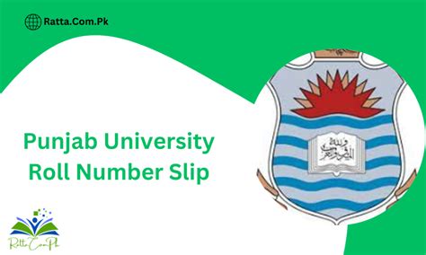 Punjab University Roll Number Slip 2024 Download