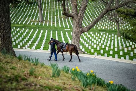 Arlington National Cemetery Facts- 19 Interesting Facts About Arlington