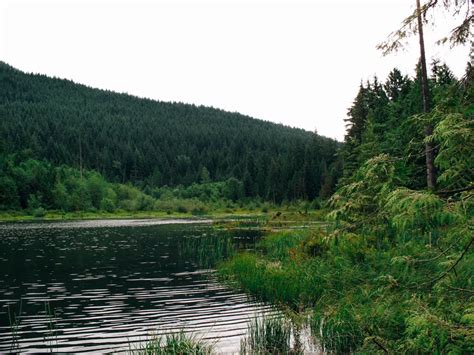 Buntzen Lake hiking near Port Moody, BC | Vancouver Trails