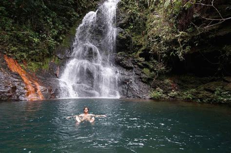 Cockscomb Basin Wildlife Sanctuary / Jaguar Preserve in Belize