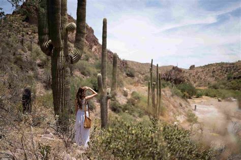 Best Hiking and Walking Trails in Cave Creek, Arizona | Wander