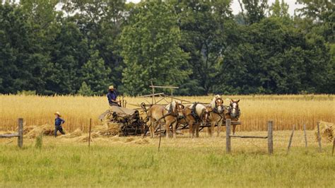 About the Amish in Ethridge, TN! - Amish of Ethridge