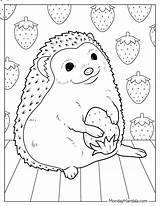 20 Hedgehog Coloring Pages Free PDF Printables sketch template