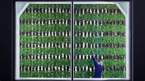 These vertical farming systems are 350 times more productive