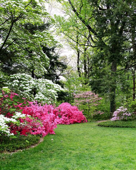 Spring at the National Arboretum