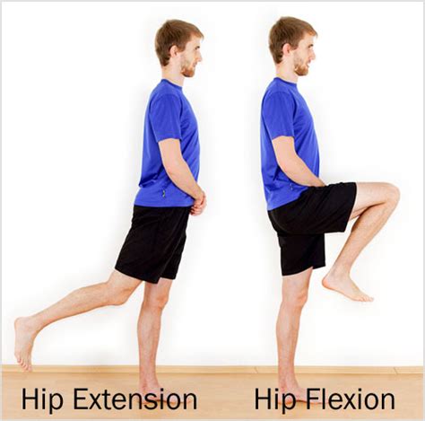 08-hip-extension-vs-hip-flexion - Soma Pilates