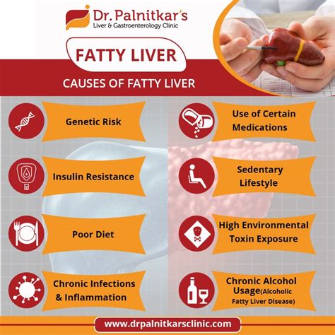 Causes of Fatty Liver - Dr. Sachin Palnitkar