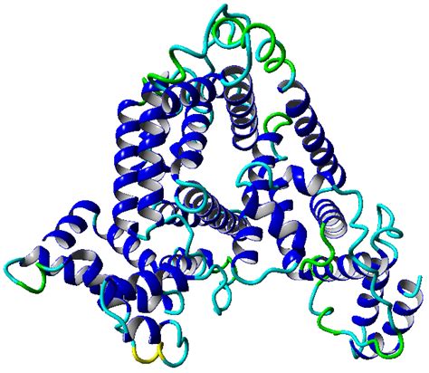 Structure of the albumin protein in a ribbon-like form. The colors on ...