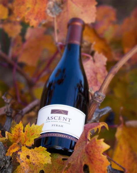 Sipping Season: The Best Fall Wine Pairings