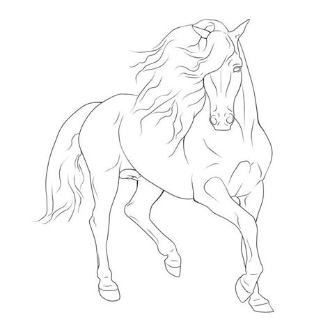 gaited horse lineart - Google Search Horse Art Drawing, Horse Sketch, Horse Drawings, Pencil Art ...