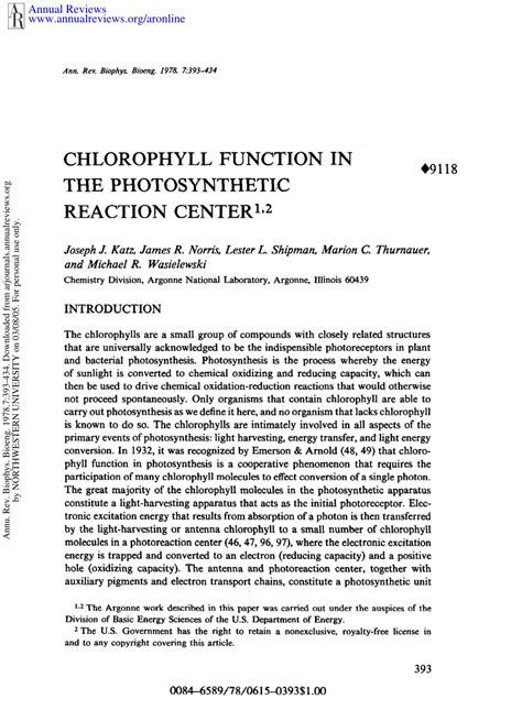 (PDF) Chlorophyll Function in the Photosynthetic Reaction Center