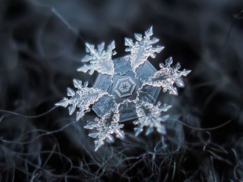 Unbelievable Close-Up Photos Of Snowflakes Reveal A Side Of Winter You ...