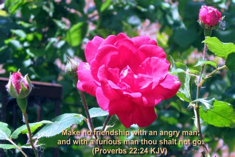 Bible Quotes About Flowers. QuotesGram