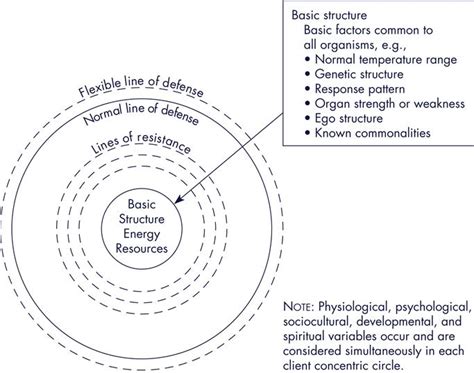 Neuman Systems Model in Nursing Practice | Nurse Key