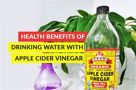 The Health Benefits of Drinking Water With Apple Cider Vinegar - Weight ...