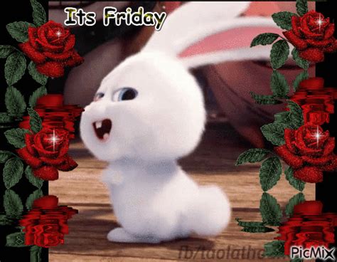 It's Friday Bunny Dancing Animated Quote Pictures, Photos, and Images for Facebook, Tumblr ...