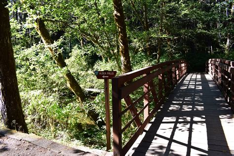 Scenic Alsea Falls - Unique Area of the Coast Range - Oregon Discovery