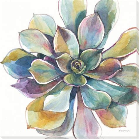 Colorful Succulent Flower 1 Wrapped Canvas Giclee Print Wall Art - Wall ...