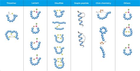 Cyclic Peptide Synthesis Service