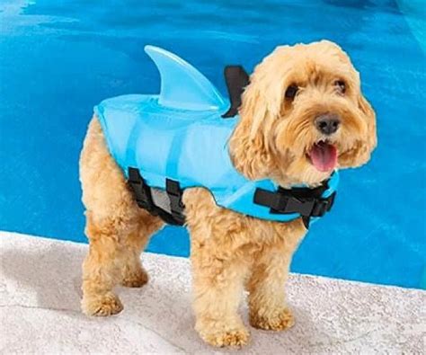 Shark Fin Dog Life Vest [Review 2024]