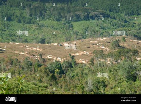 Zomba Plateau, Zomba, Malawi Stock Photo - Alamy