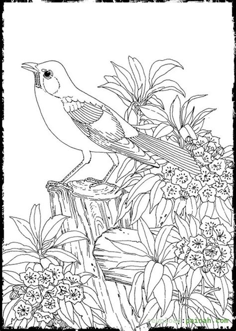 Advanced Realistic Bird Coloring Pages | Monaicyn Kitchen Ideas