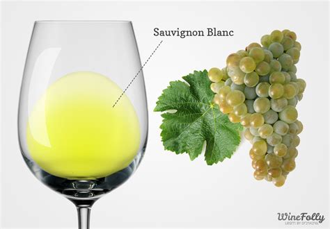 About Sauvignon Blanc Wine - Taste, Regions and Food Pairing | Wine Folly